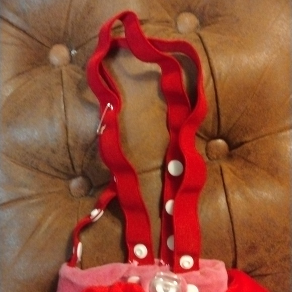 Alfie Dog Sanitary Panties w/Adjustable Waist & Adjustable Suspenders (Set of 2) - Picture 4 of 7